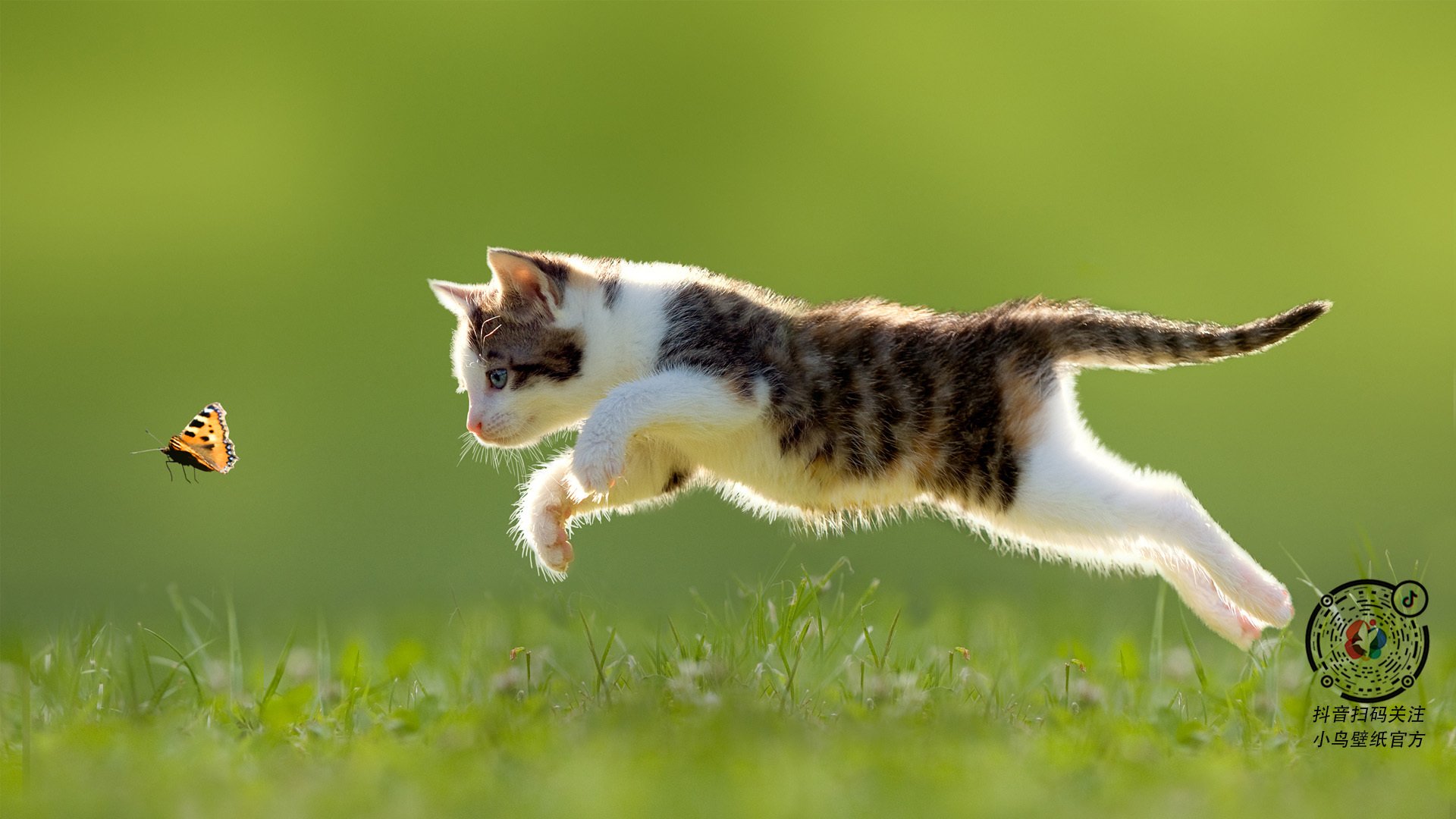 开云网页版-76人连胜稳步前行！，76人连败纪录