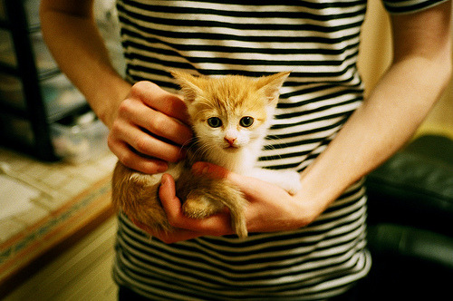 开云官网首页-_太空运动：未来探索中的运动新方向_，太空行驶