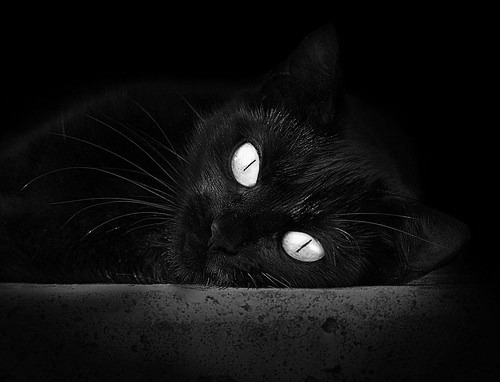 开云官方网站-_运动员街头即兴表演：青春力量焕发_，运动员街拍