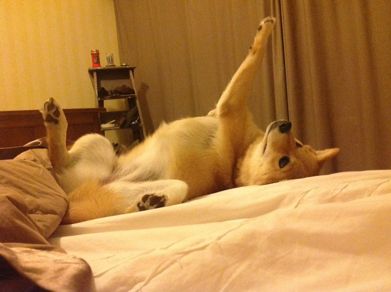 kaiyun 开云体育-_运动员赛前准备：训练细节揭秘_，运动员赛前准备有哪些