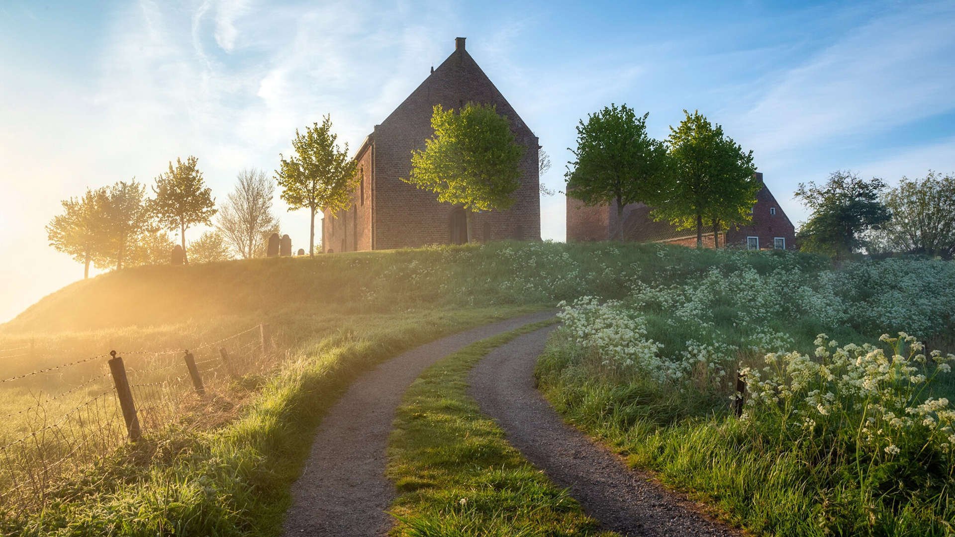 中国足球界引领创新,融合多元文化打造交流平台,中国足球文化与校园足球发展大会