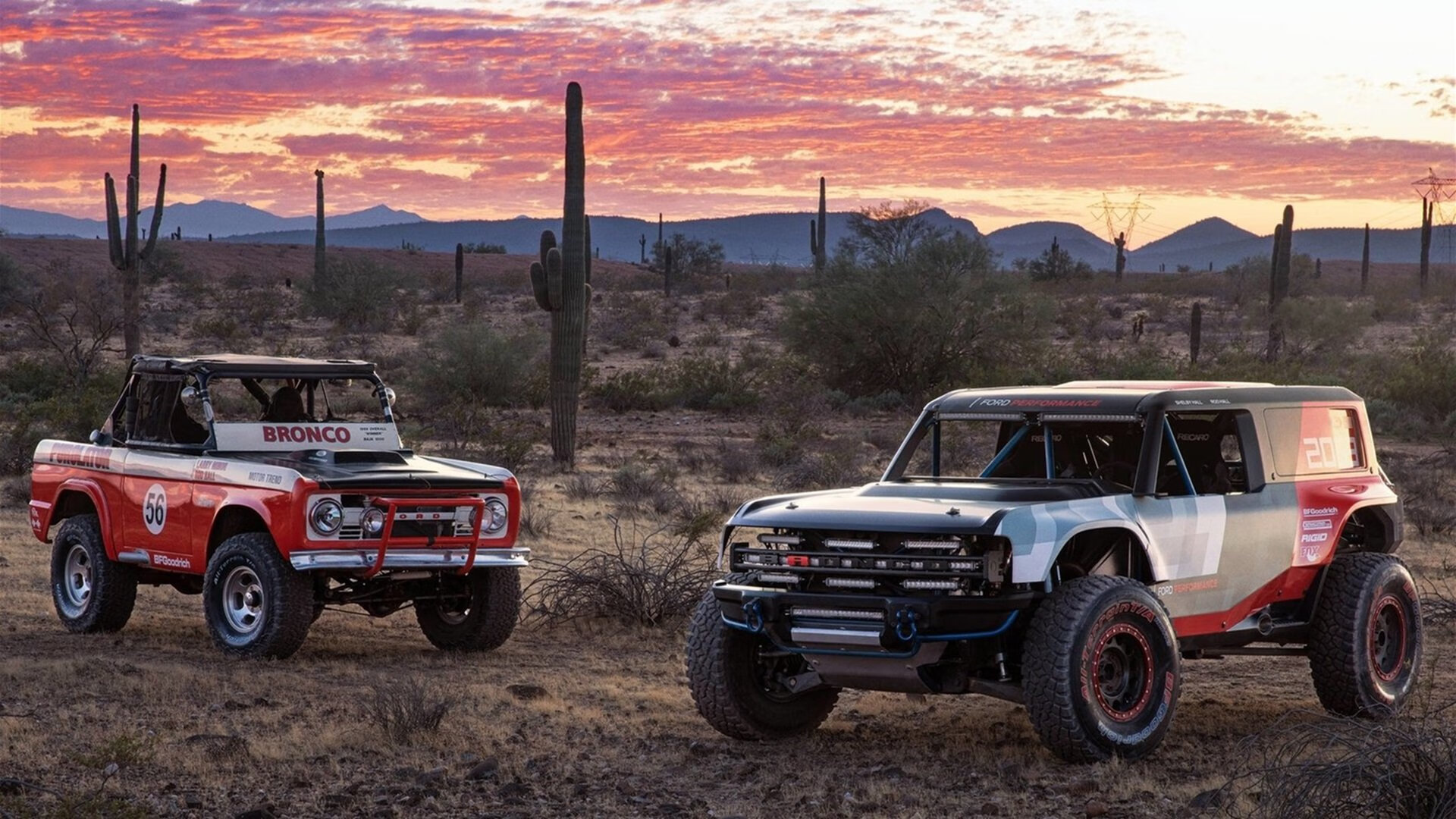开云官网在线-卓尔杯青少年篮球赛事在云南隆重举行，助力区域体育振兴，卓尔俱乐部赛程