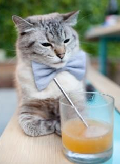 卓越防线:最强防守战术带来的防线胜利,卓越指什么