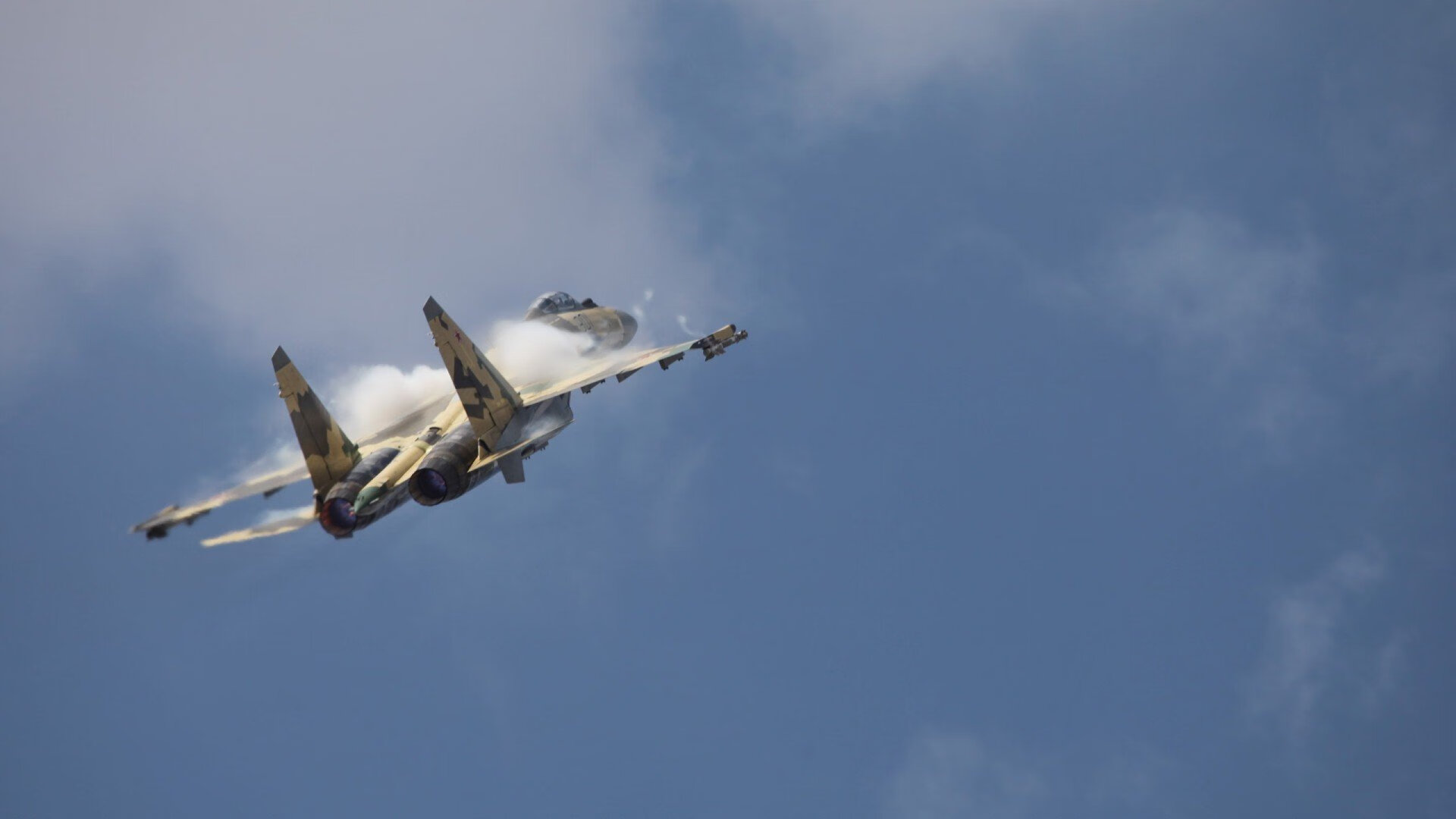 塞内加尔马术协会与兽医合作,开展马匹疾病预防与治疗研究。,塞内加尔羊图片