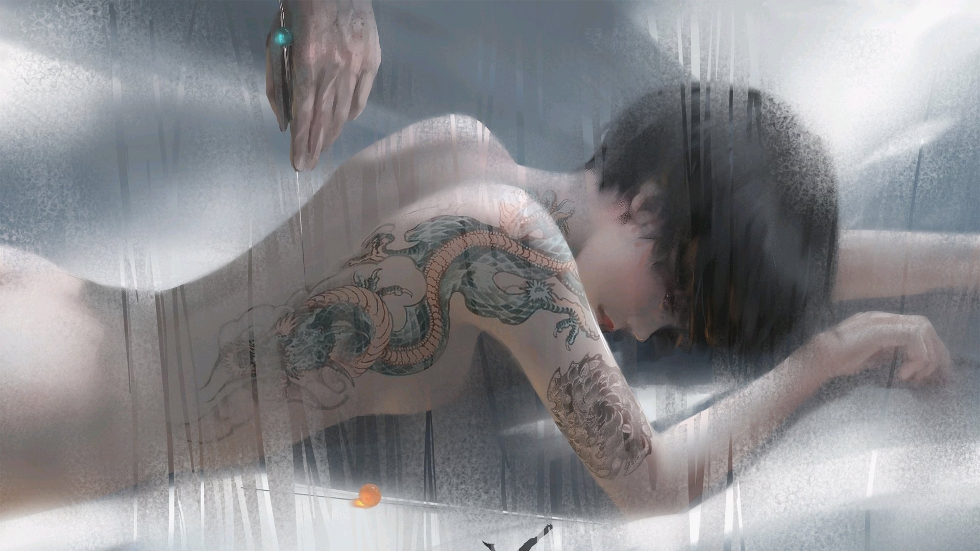 塞内加尔马术协会与国际组织合作，推广“Lamb”至全球。，塞内加尔体育馆