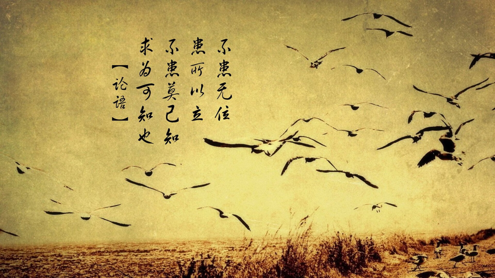 新规则预设:未来比赛会变得更激烈吗?,未来大赛道