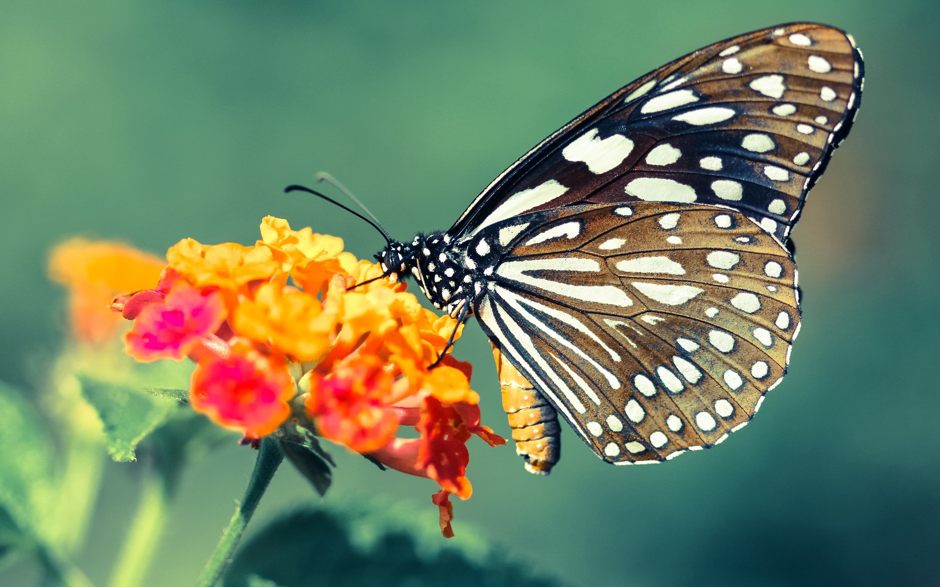 毕尔巴鄂竞技后防线坚不可摧,毕尔巴鄂竞技b队