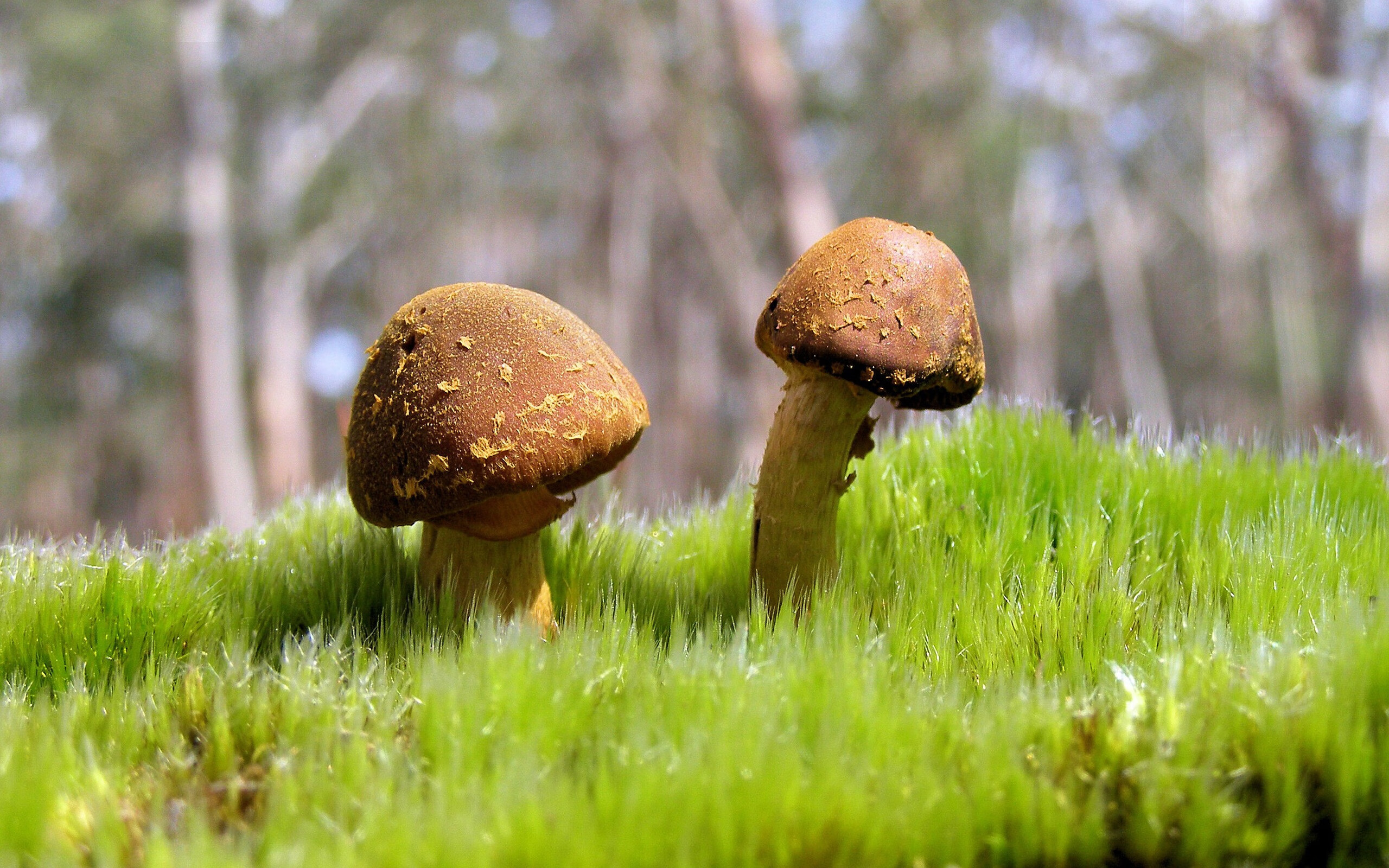 赛场“炼狱”记忆:那些令人震撼的淘汰赛逆转,淘汰赛阶段决赛是什么