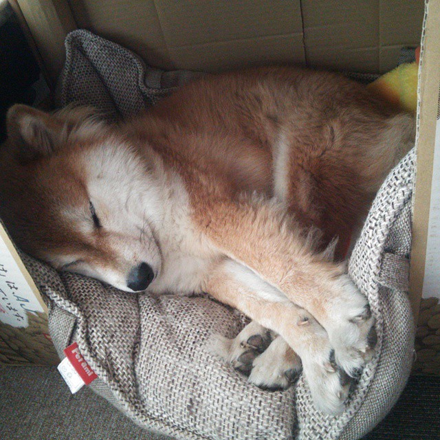 逆境中的坚韧:车手奋勇争胜的叙事,逆境车的图片