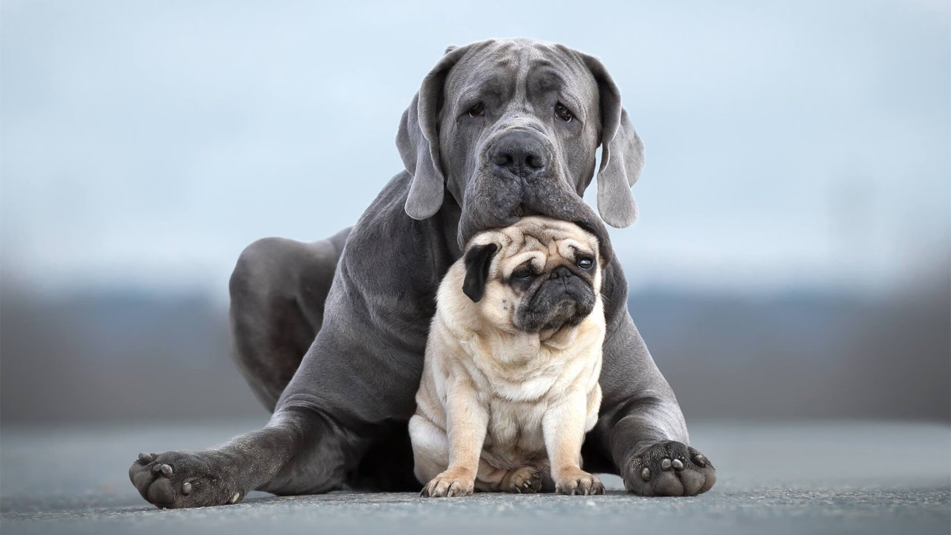 逆境中的奇迹:球队如何在绝境中实现逆转?,绝境中逆转成功的事例