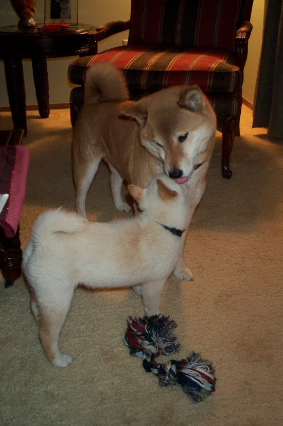 RNG体能训练成果显著,rng训练时间