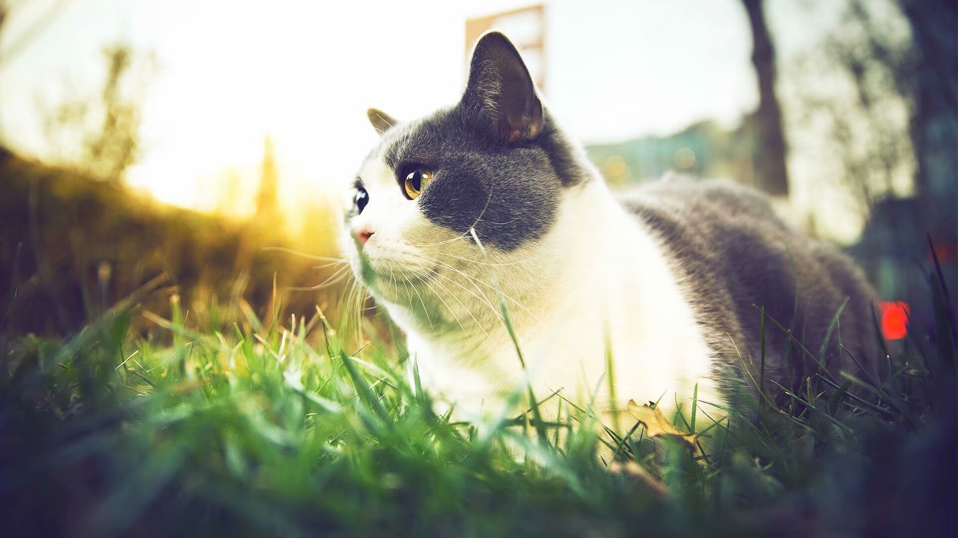 浙江男篮胜出,场上表现有目共睹!,浙江男篮最新名单