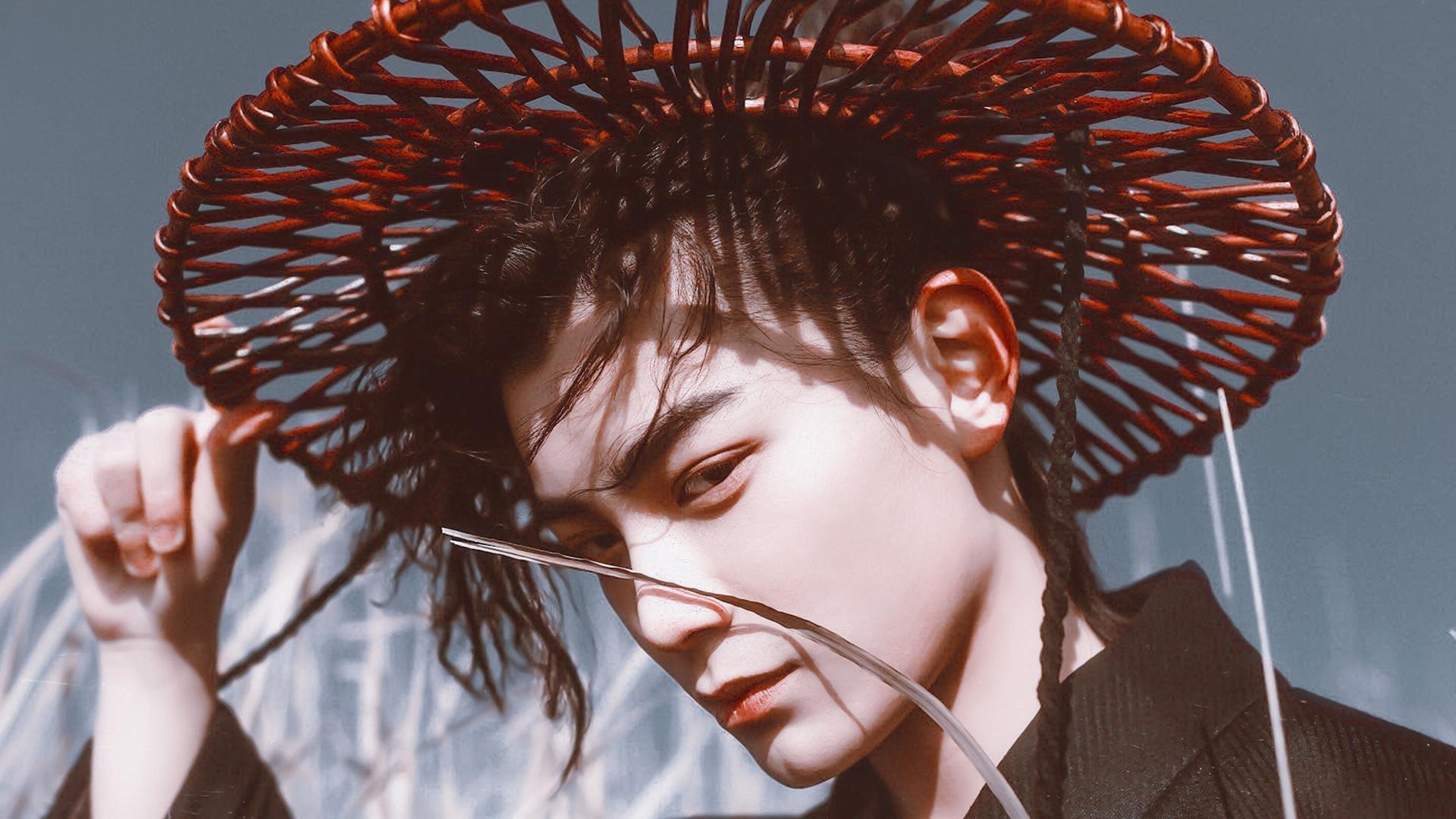 瑞典队在欧预赛比赛中遭遇失利，出线形势堪忧，瑞典队最近比赛