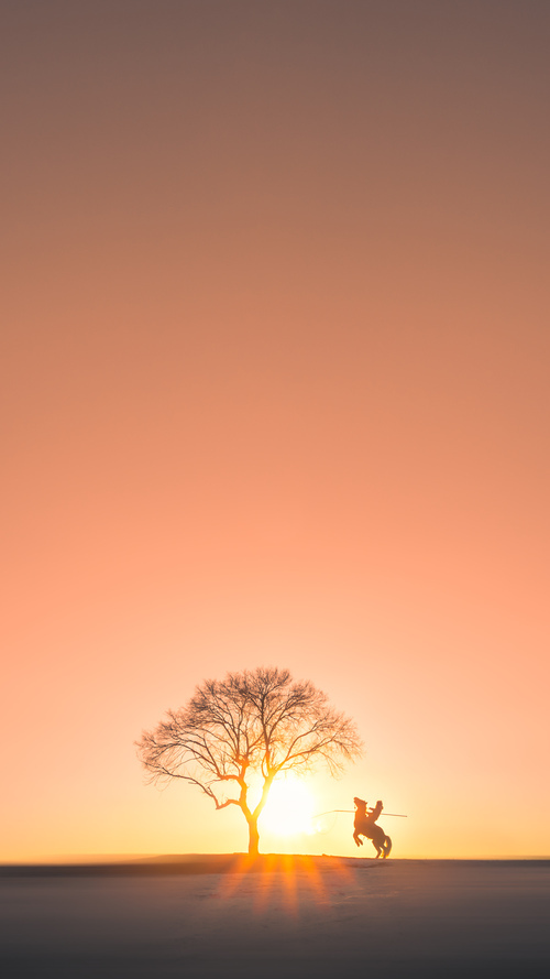 开云官网-世界围棋赛冠军争夺异常激烈，世界围棋赛冠军争夺异常激烈怎么办