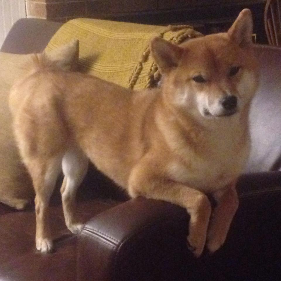 中超逆袭世界杯预选赛 历史回顾引热议,中超冠军参加世俱杯