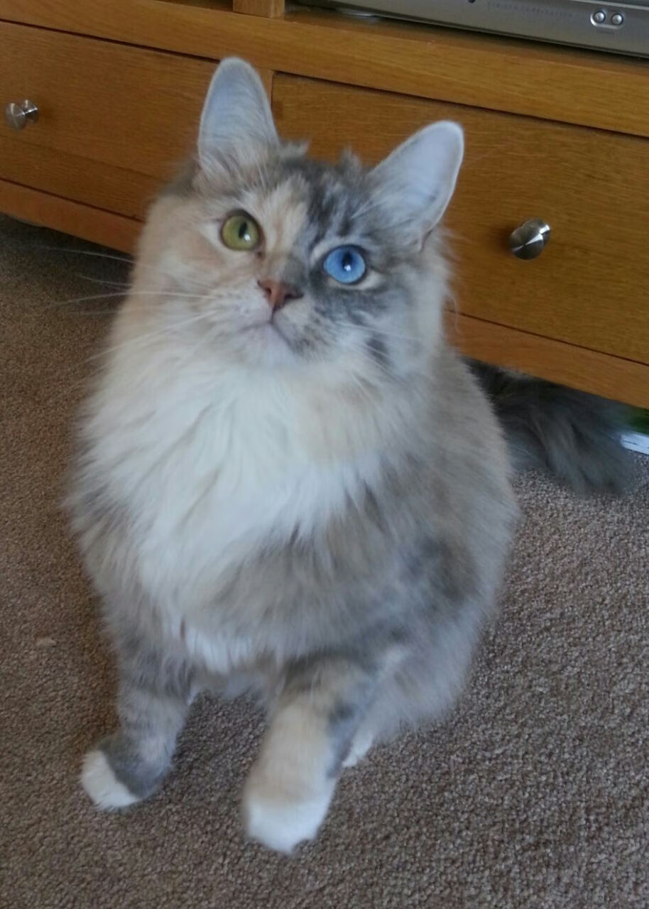 开云官网登录-足球俱乐部青训体系规范化发展，足球青训俱乐部规章制度