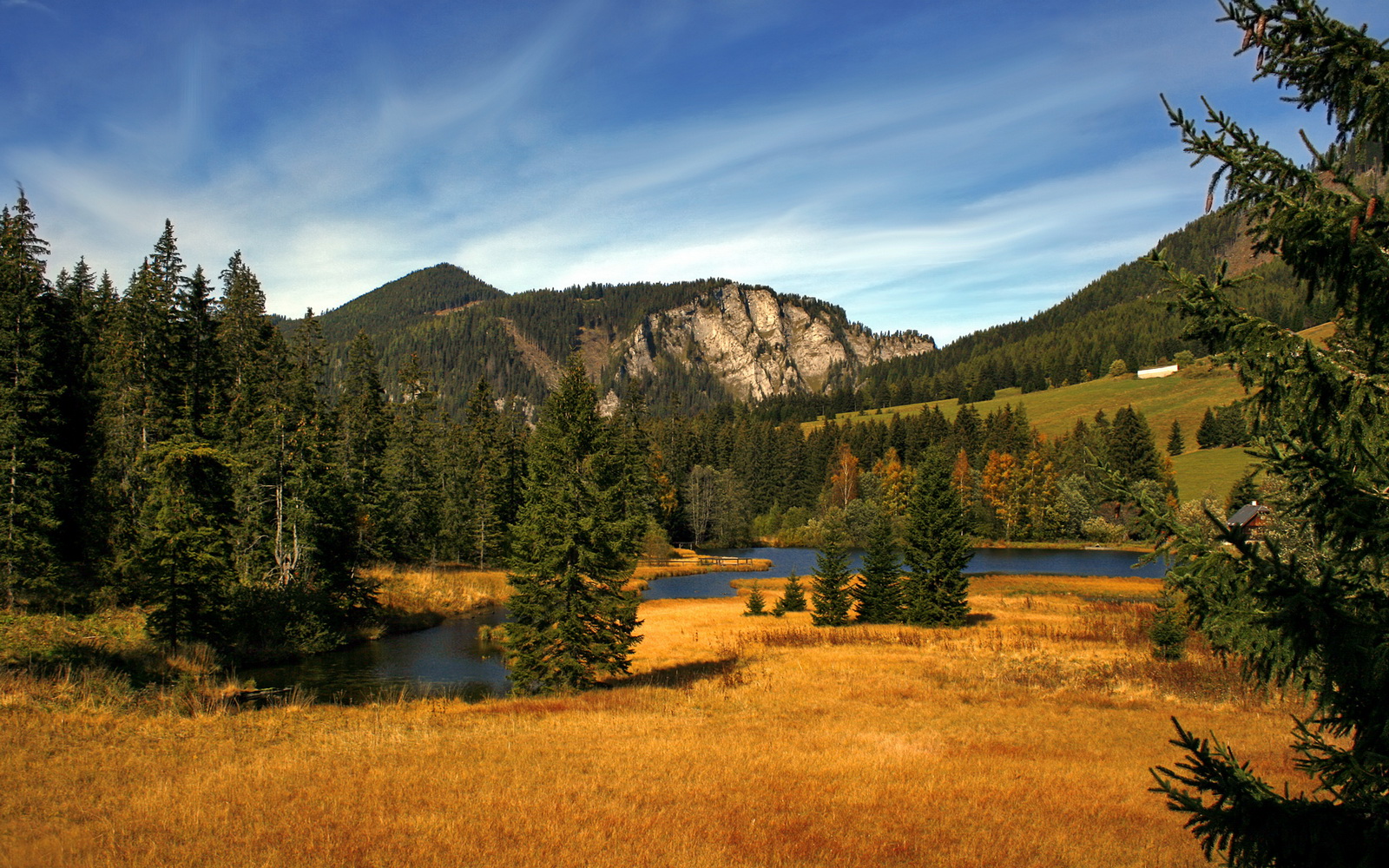 kaiyun登录入口-德甲持续火爆：攻守转换精彩不断！，德甲收官战