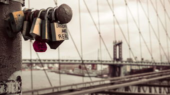 Kaiyun官方登录入口-意甲科技装备驱动的训练体系