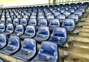 开云kaiyun-竞彩市场火热，足球预测分析工具受追捧，竞彩足球预测推荐