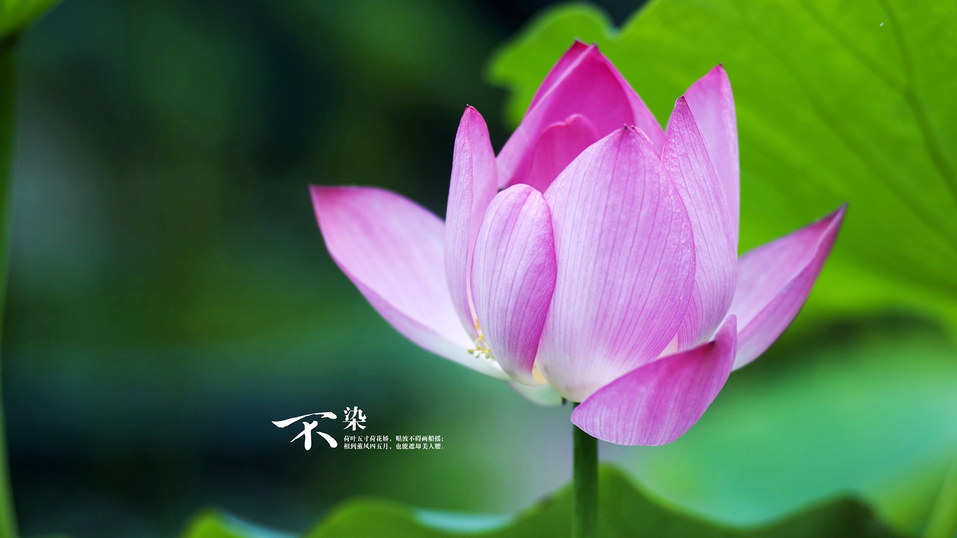 训练营阶段结束主教练对队员表现进行全面总结评估，训练营的教练一个月能挣多少