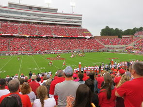 开云下载-阿曼男篮在国际邀请赛中表现优异，迈向更大舞台