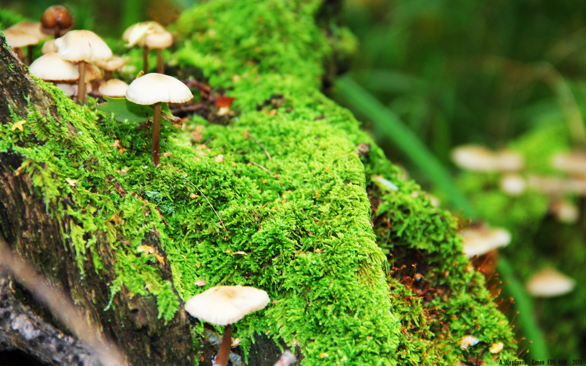 青训营引入心理素质训练提升球员抗压能力,球队青训